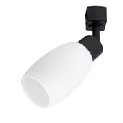 Arte Lamp MIIA Потолочные светильники A3055PL-1BK A3055PL-1BK