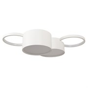 LOFT IT 10317/4 White Потолочный светильник Pin 10317/4 White