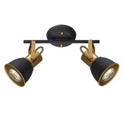 Arte Lamp A1677PL-2GO JOVI Светильник-спот потолочный A1677PL-2GO