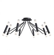 Maytoni Modern Vigo Черный Потолочный светильник 16xG9 25W MOD620CL-16B