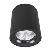 Arte Lamp FACILE Потолочные светильники A5112PL-1BK A5112PL-1BK