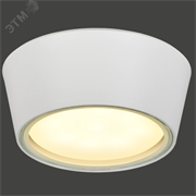 Светильник уличный 5104 GX53 IP65 потолочный бел. IEK LT-UPU0-5104-GX53-1-K01 pe805183