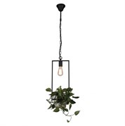 Favourite Situla Люстра подвесная черный металл, прозрачное стекло 1*E27*60W 1975-1P