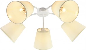 Rivoli Люстра Aimee 9162-305 5 х Е27 60 Вт модерн Б0059972