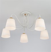 Eurosvet Потолочная люстра со стеклянными плафонами 70062/5 белый 00000081856