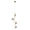LOFT IT 10212/4P Gold Подвесной светильник Sakura, шт 10212/4P Gold - фото 100134