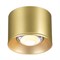 Novotech 358669 OVER NT21 146 золото Светильник накладной светодиодный IP20 LED 4000К 12W 220V PATERA 358669 - фото 103334