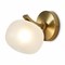 Freya Donuts Настенный светильник (бра) Латунь FR5444WL-01BS - фото 106401