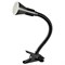 Arte Lamp A1210LT-1BK Cord Настольная лампа E14 A1210LT-1BK - фото 108492