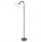 Lussole LGO Металл Черный / серый Акрил Торшер E27 60W LSP-0508 - фото 109490