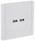 IEK FORTE&PIANO Белый Розетка USB A+A 3,1А FP249 FP-U21-D31-K01 - фото 69635