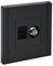 FORTE&PIANO Роз. двойная TV+RJ45 кат.5E FP136 чер. IEK FP-AK20-1-K02 - фото 69836