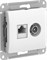 Glossa Белый розетка двойная TV + компьютерная RJ45, кат. 5Е GSL000189 - фото 71905