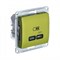 Glossa фисташковый USB розетка тип-C 65W высокоскоростная зарядка QC, PD, механизм GSL001027 - фото 72164