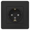 Blanca внутренняя антрацит розетка с заземлением, со шторками, 16А, 250В BLNRS001116 - фото 72333