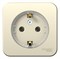 Blanca наружняя молочная розетка с заземлением, без шторок,(тонкая) 16А, 250В изолированная пластина BLNRA110112 - фото 72633