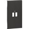 BTicino Living now чёрный лицевая панель для зарядных устройств USB 2 мод KG12C - фото 72950