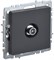 IEK Brite Base графит розетка TV проходной BR-A10-P-K53 - фото 73172