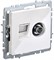 IEK Brite Base белый розетка двойная TV+RJ45 кат.5E BR-AK20-1-K01 - фото 73516