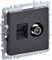 IEK Brite Base графит розетка двойная TV+RJ45 кат.5E BR-AK20-1-K53 - фото 73772