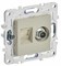IEK SKANDY Бежевый Розетка двойная TV+RJ45 кат.5E SK-A14B SK-AK20-1-K10 - фото 74157