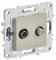 IEK SKANDY Бежевый Розетка двойная TV+SAT SK-A13B SK-AF20-O-K10 - фото 74185