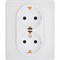 Legrand/Daccord Inspiria Розетка двойная с заземлением со шторками в сборе 16А 250В винтовые зажимы - белый 673450 - фото 74813