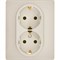 Legrand/Daccord Inspiria Розетка двойная с заземлением со шторками в сборе 16А 250В винтовые зажимы - слоновая кость 673451 - фото 74829