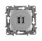 Legrand Etika, алюминий, зарядное устройство с USB разъемами A-C 672436 - фото 74881