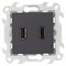 Simon 24 Графит Коннектор 2хUSB 2.0 тип A 2411090-038 - фото 76003