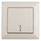 Intro Выключатель Solo 4-102-02 одноклавишный с подсветкой, 10А-250В, IP20, СУ, слоновая кость Б0053559 - фото 76332