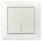 Intro Выключатель Solo 4-102-06 одноклавишный с подсветкой, 10А-250В, IP20, СУ, перламутр Б0053568 - фото 76427