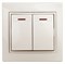 Intro Выключатель Plano 1-105-02 двухклавишный с подсветкой, 10А-250В, IP20, СУ, слоновая кость Б0053775 - фото 76457