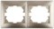 Intro 1-502-04 Рамка на 2 поста гор., СУ, Plano, шампань (20/400/3200) Б0030095 - фото 76476