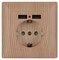 Intro Розетка Solo 4-410-11 с заземлением P+E Schuko со шторками, 16А-250В + 2хUSB, IP20, СУ, сосна Б0053720 - фото 76504