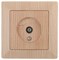 Intro 4-301-11 Розетка TV одиночная, СУ, Solo, сосна (10/200/2400) Б0043374 - фото 76541