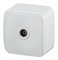Intro 3-301-01 Розетка TV одиночная, IP20, ОУ, Polo, белый (20/400/4800) Б0036101 - фото 76637