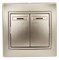 Intro 1-105-04 Выключатель двойной с подсветкой, 10А-250В, IP20, СУ, Plano, шампань (10/200/2400) Б0030047 - фото 76728