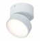 ST LUCE  ST651.532.14 Светильник потолочный поворотный Белый LED 1*14W 3000K 1 100Lm Ra>90 120о IP20 D105xH88 170-240VV ST651.532.14 - фото 95774