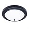 Arte Lamp A4049PL-3BK JAMES светильник потолочный черный A4049PL-3BK - фото 95857
