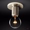 ImperiumLoft Потолочный светильник RH Utilitaire Socket Flushmount Silver 123678-22 - фото 96565