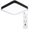 Arte Lamp A2663PL-1BK Потолочный светильник LED 55W 4000K A2663PL-1BK - фото 96654