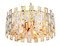 Ambrella Подвесная люстра TR5061/6 GD/CL золото/прозрачный E14/6 max 40W D500*938 TR5061 - фото 97863